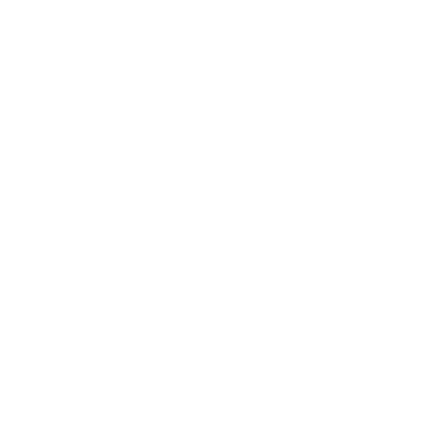 BAM PRODUCTIONS